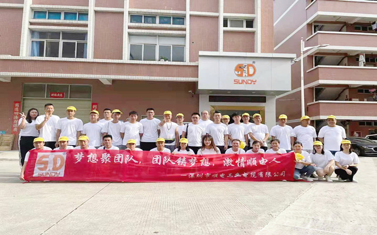 “夢(mèng)想聚團(tuán)隊(duì)，團(tuán)隊(duì)鑄夢(mèng)想”順電2021年旅游圓滿結(jié)束